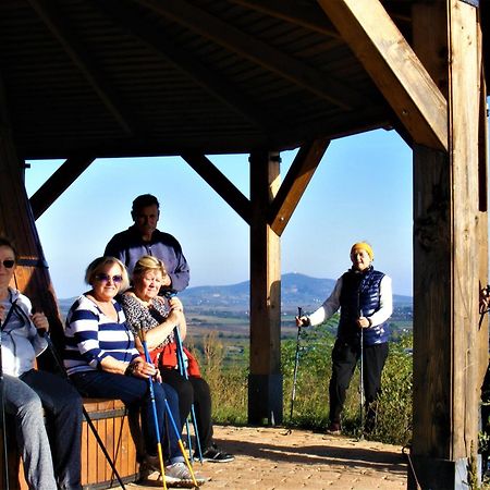 Tokaj Hill Panorama Guesthouse Szerencs Exterior photo