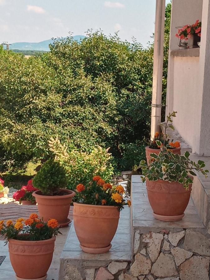 Tokaj Hill Panorama Guesthouse Szerencs Exterior photo