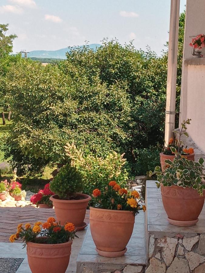 Tokaj Hill Panorama Guesthouse Szerencs Exterior photo