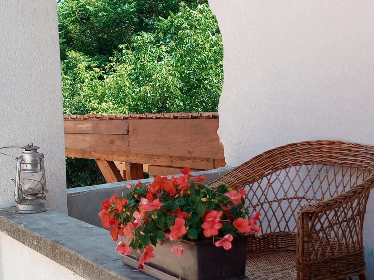 Tokaj Hill Panorama Guesthouse Szerencs Exterior photo