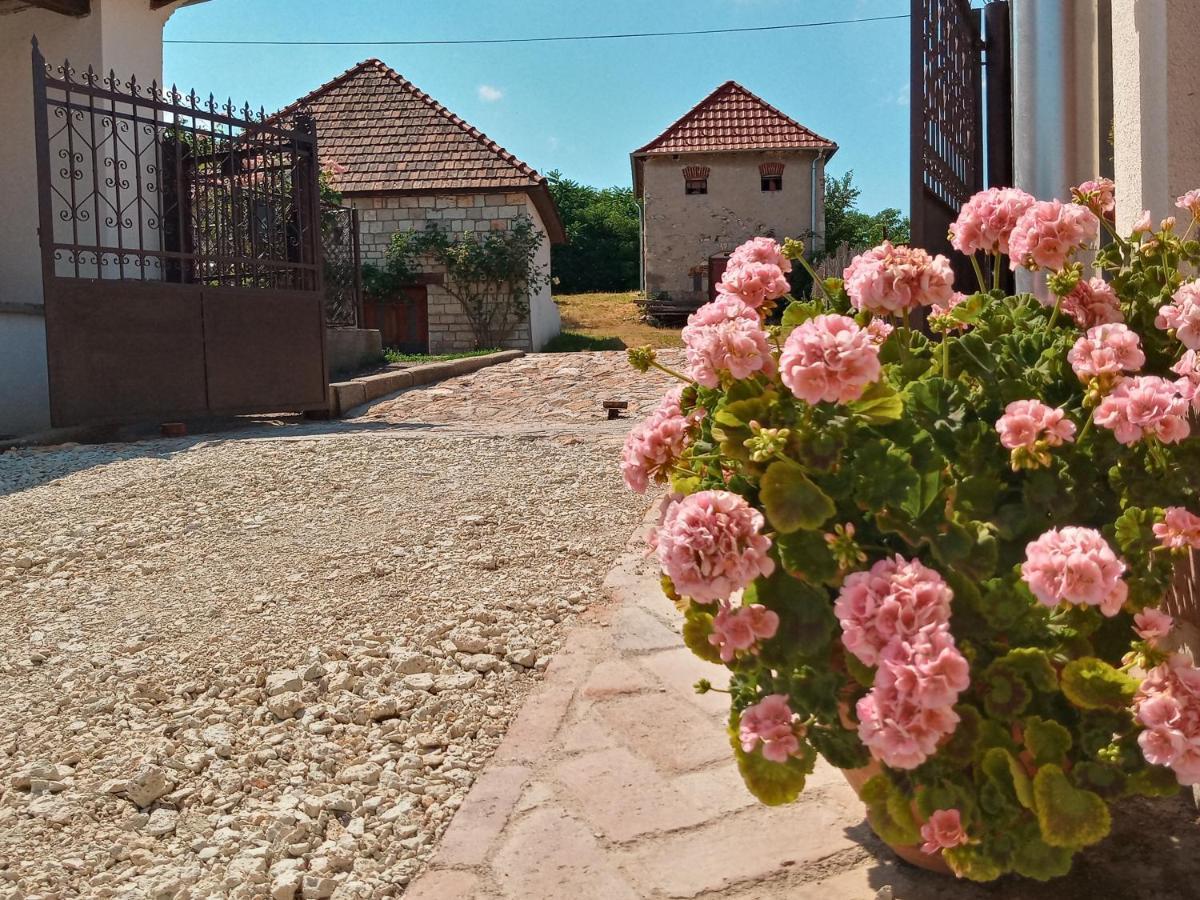Tokaj Hill Panorama Guesthouse Szerencs Exterior photo