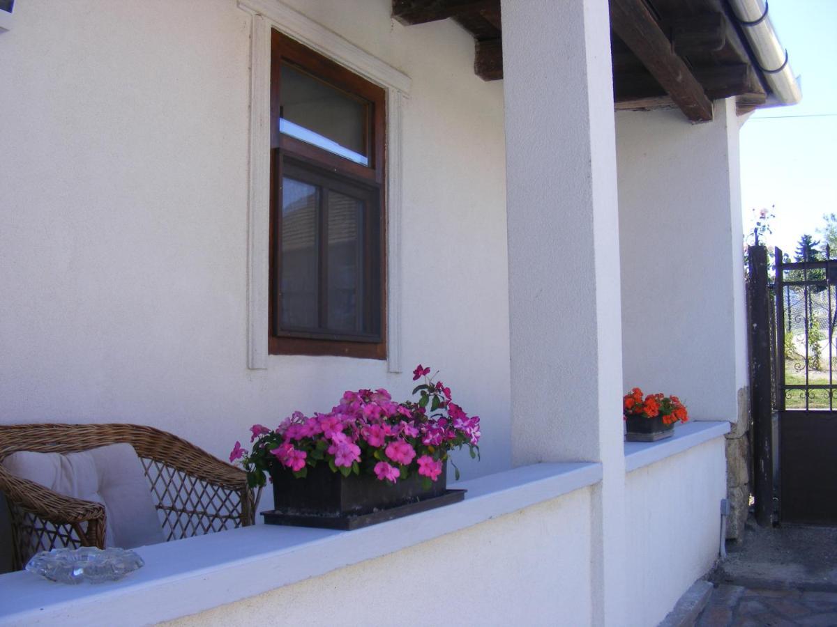 Tokaj Hill Panorama Guesthouse Szerencs Exterior photo