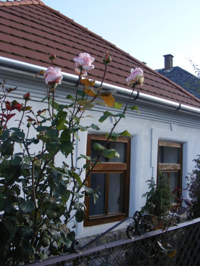 Tokaj Hill Panorama Guesthouse Szerencs Exterior photo