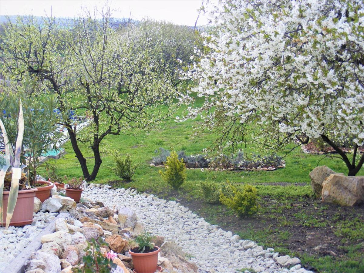 Tokaj Hill Panorama Guesthouse Szerencs Exterior photo