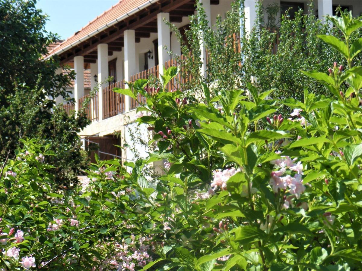 Tokaj Hill Panorama Guesthouse Szerencs Exterior photo