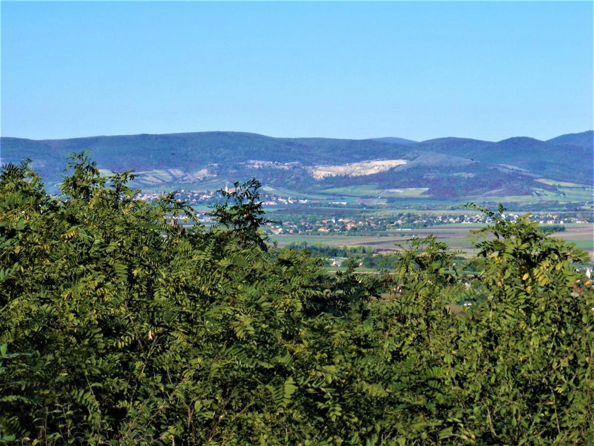 Tokaj Hill Panorama Guesthouse Szerencs Exterior photo